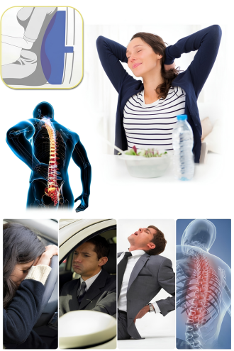 Back Support Pillow Headrest Waist